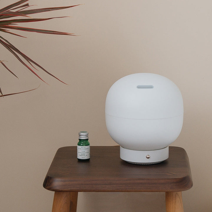 Transform Your Indoor Environment with Our Household Humidifier