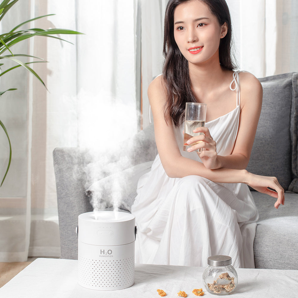 Alana Ultrasonic Humidifier
